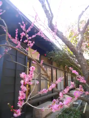 宝戒寺の庭園