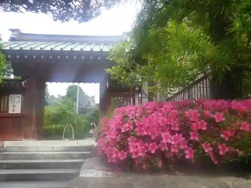 大巧寺の山門・神門