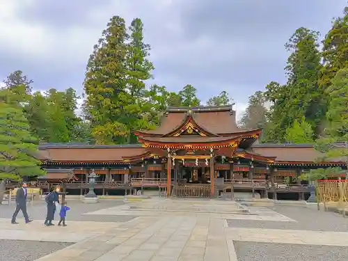 多賀大社の本殿