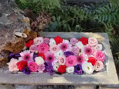 本郷氷川神社(東京都)