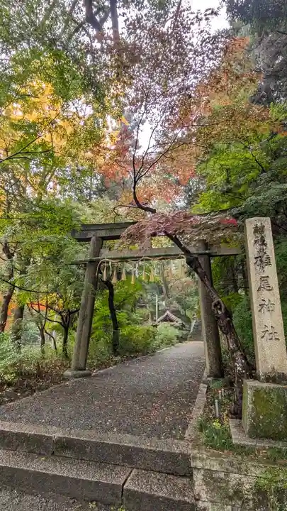 椎尾神社(大阪府)