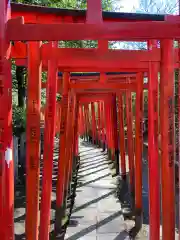 根津神社の鳥居