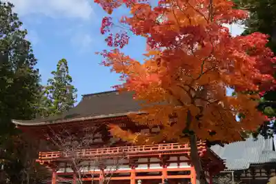 高野山金剛峯寺奥の院(和歌山県)