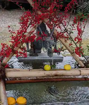 今市報徳二宮神社の手水舎