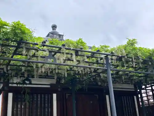 中宮寺(奈良県)