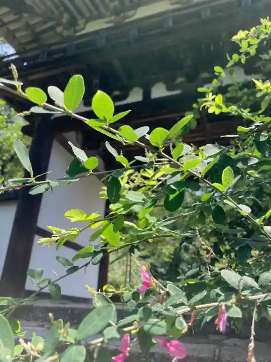 長岳寺の山門・神門