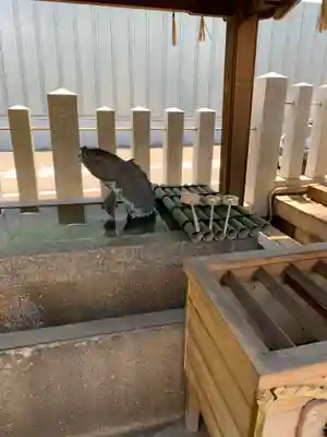 南宮宇佐八幡神社（脇浜神社）の手水舎