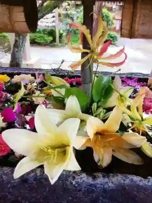 鳩森八幡神社の手水舎