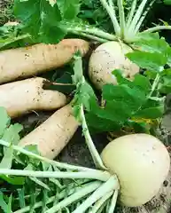 滑川神社 - 仕事と子どもの守り神の食事