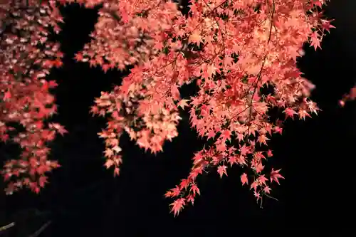 田村神社の景色