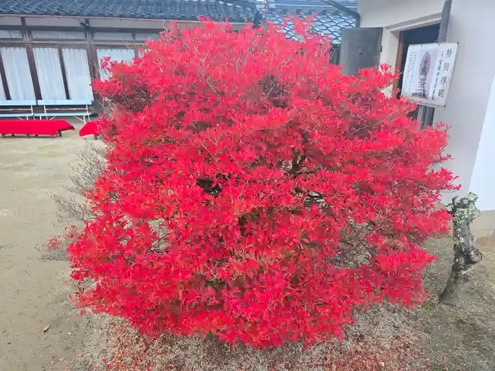安國寺(兵庫県)