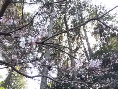 真楽寺(三重県)