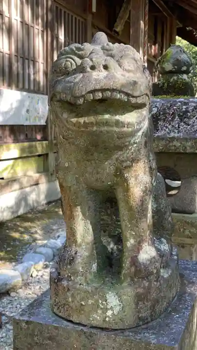 白山神社の狛犬