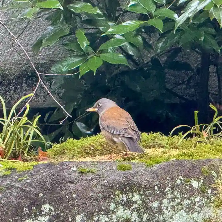 伊勢の国 四天王寺(三重県)