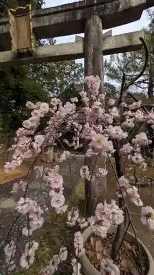 新日吉神宮(京都府)