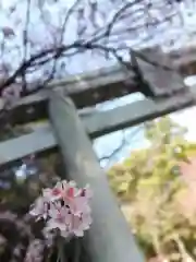 宮地嶽神社の自然