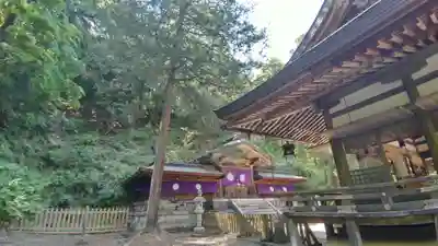 武蔵二宮 金鑚神社(埼玉県)