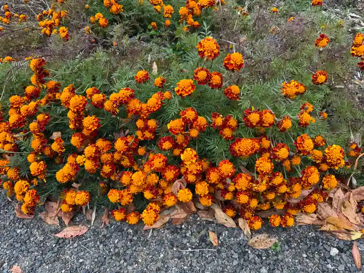 豊景神社(福島県)