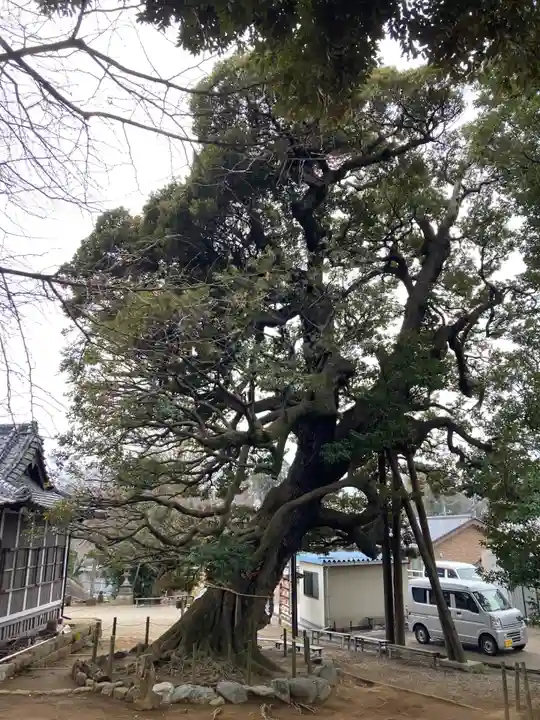 九重神社(埼玉県)
