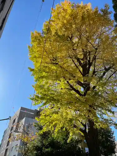 榊神社(東京都)