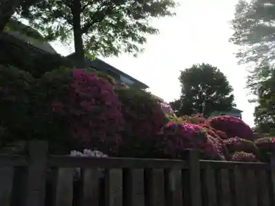 根津神社(東京都)