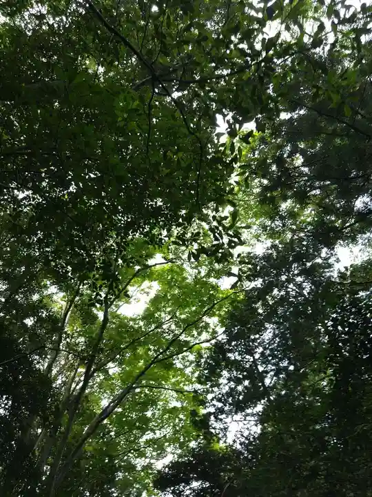 伊勢神宮外宮(豊受大神宮)(三重県)