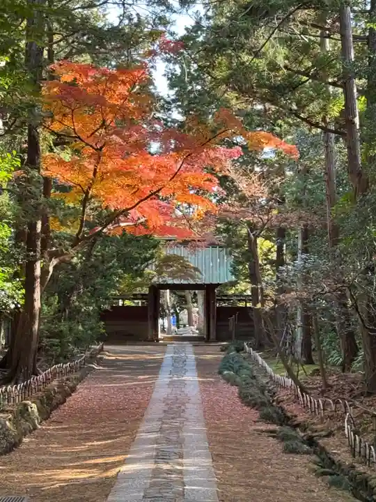 寿福寺(神奈川県)