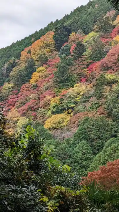 善峯寺(京都府)