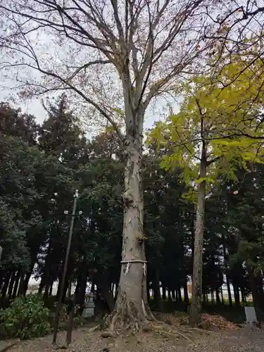 春日神社(栃木県)