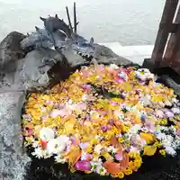 出雲大社相模分祠の手水舎