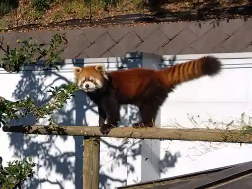妙法寺(福井県)