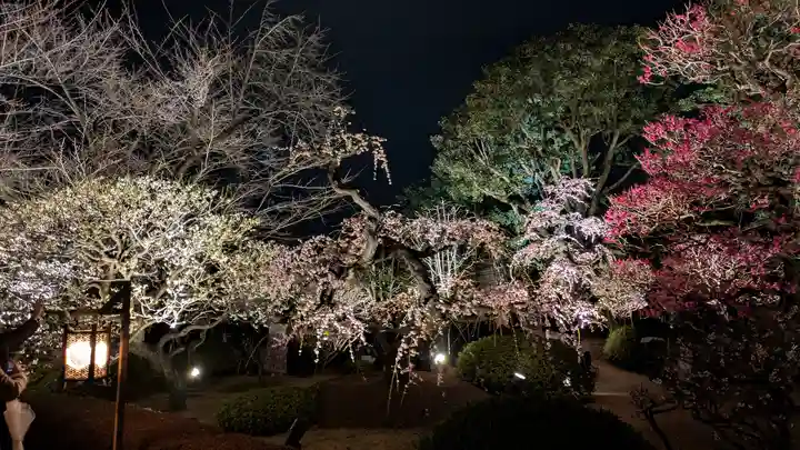 東寺(教王護国寺)(京都府)