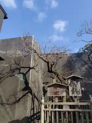 太宰府天満宮(福岡県)