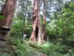 迦葉山龍華院弥勒護国禅寺（弥勒寺）(群馬県)