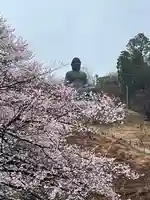 寳光寺 鹿野大佛(東京都)