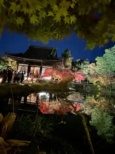 高台寺（高台寿聖禅寺・高臺寺）の庭園