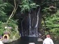 玉簾神社の自然