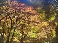 蓬莱神社の自然