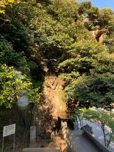 楽法寺（雨引観音）の庭園