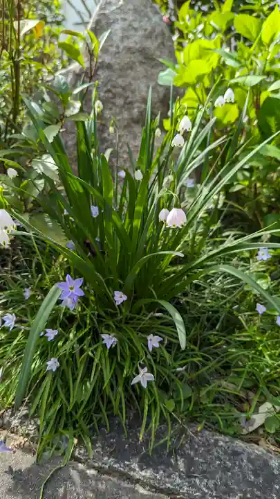 福田寺(京都府)