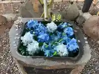 武甕槌神社(岩手県)