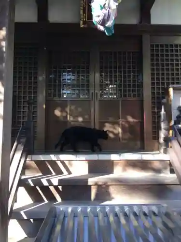 田丸稲荷神社の動物