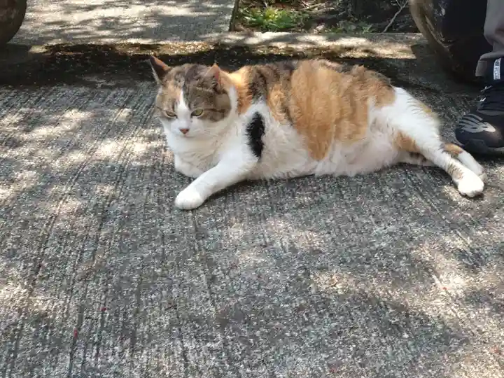 賀茂別雷神社(栃木県)