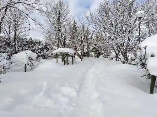 美瑛神社の自然