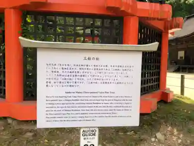 壇上伽藍(和歌山県)