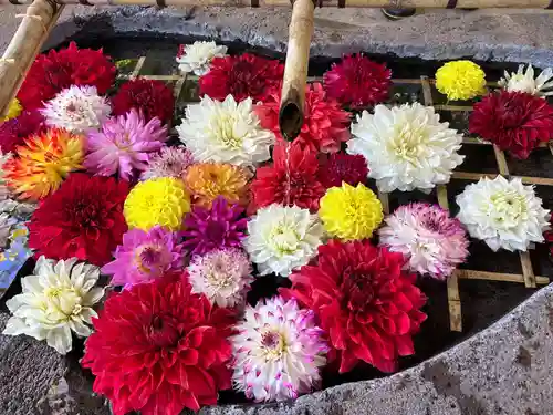 樽前山神社の手水