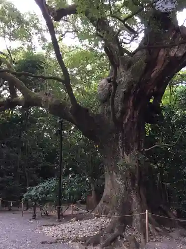 月夜見宮（豊受大神宮別宮）の自然