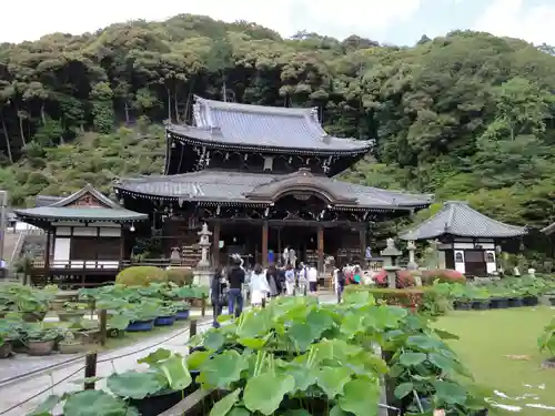 三室戸寺の庭園