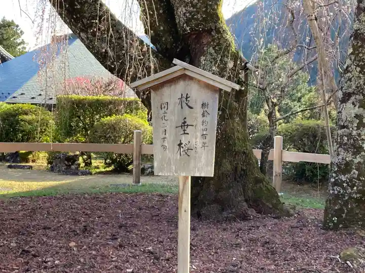 久遠寺(山梨県)