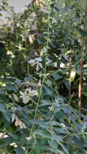 得浄明院（善光寺別院）(京都府)